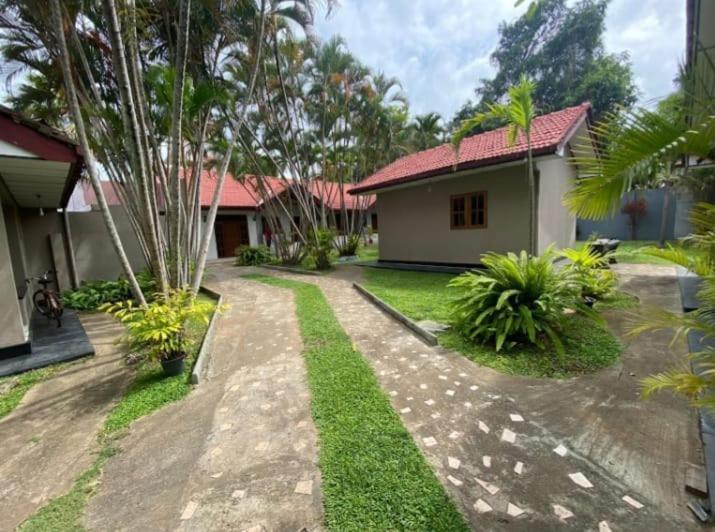 Blue Bell Hotel Negombo Buitenkant foto