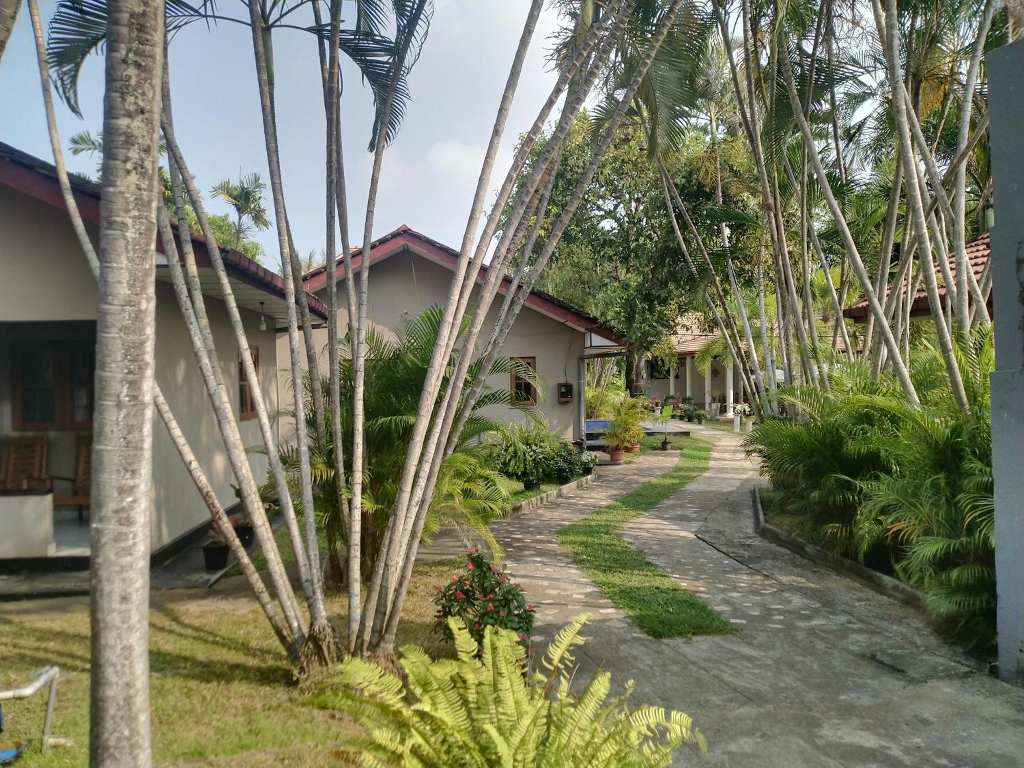 Blue Bell Hotel Negombo Buitenkant foto