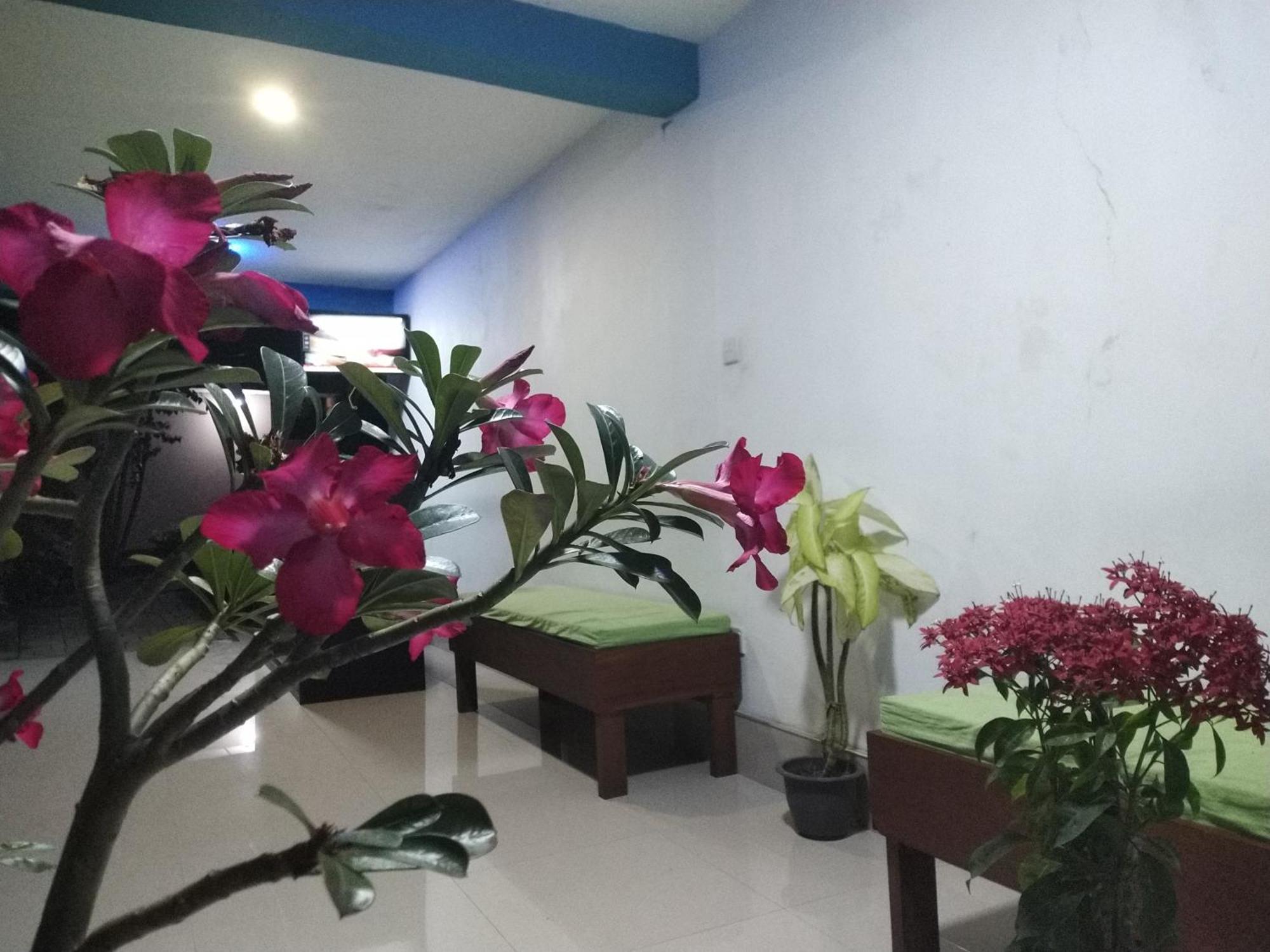 Blue Bell Hotel Negombo Buitenkant foto