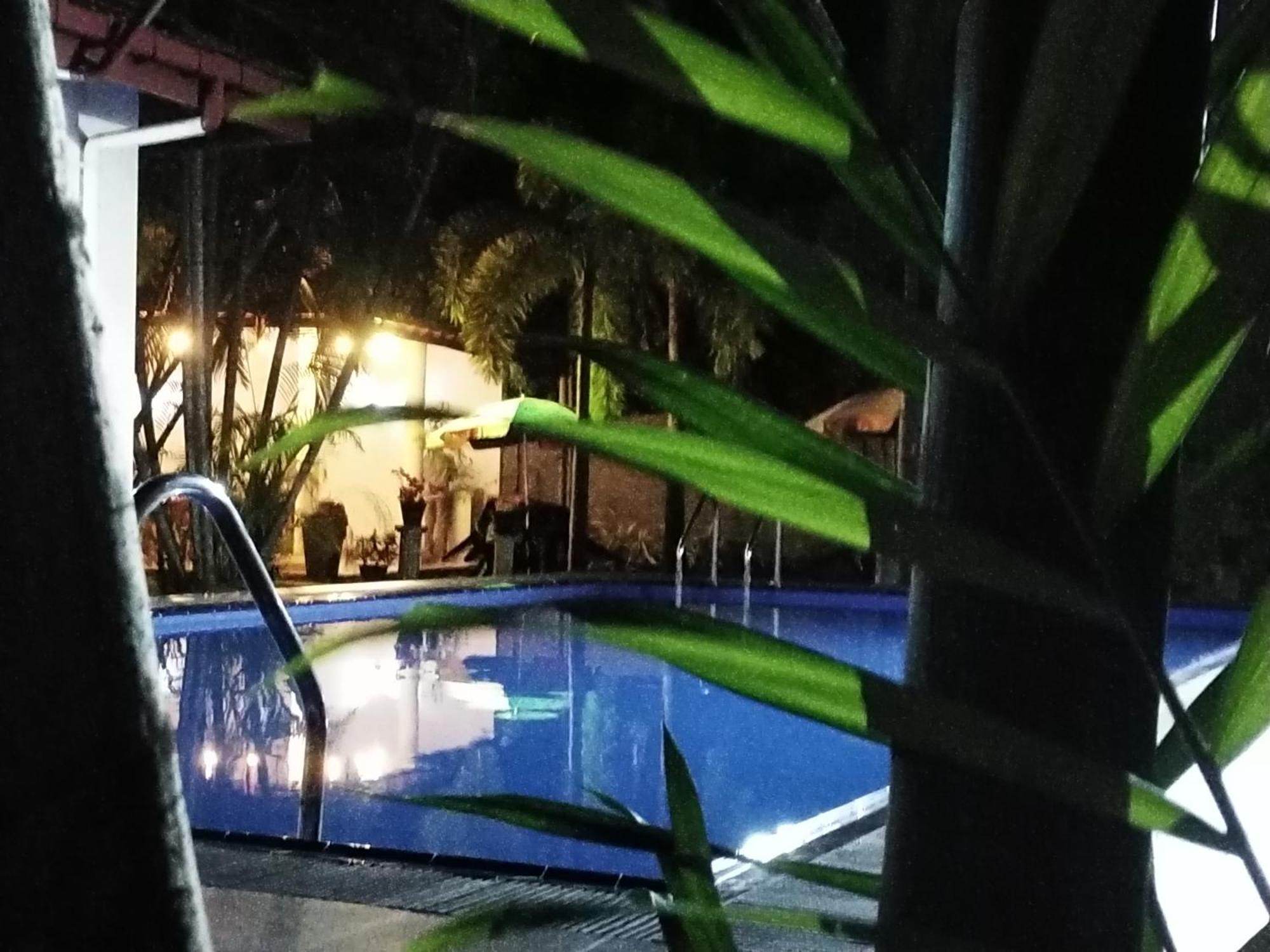 Blue Bell Hotel Negombo Buitenkant foto