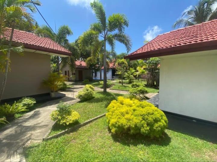 Blue Bell Hotel Negombo Buitenkant foto